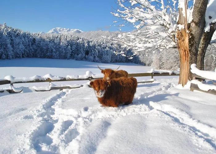 Ferienheim Riedhof *