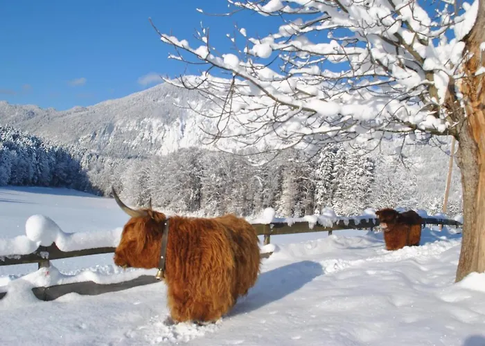 Ferienheim Riedhof *