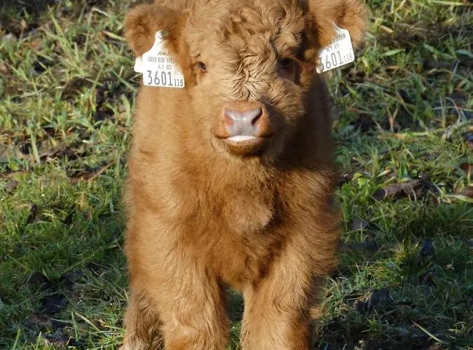 Apartment Ferienheim Riedhof *