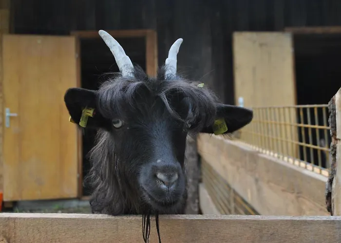 Ferienheim Riedhof * Breitenbach am Inn