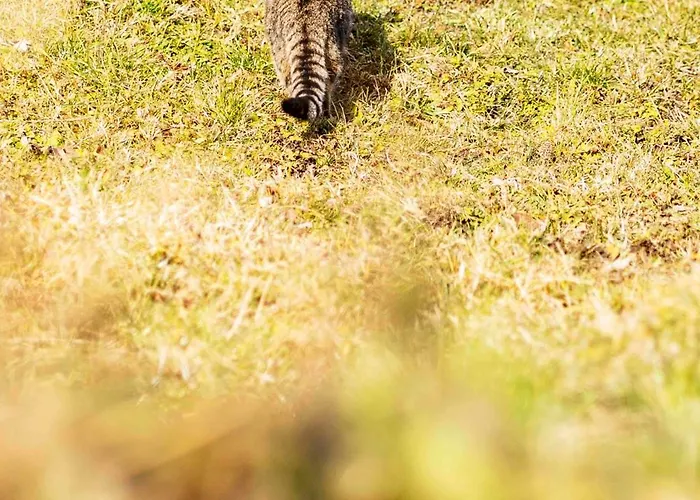 Ferienheim Riedhof アパート