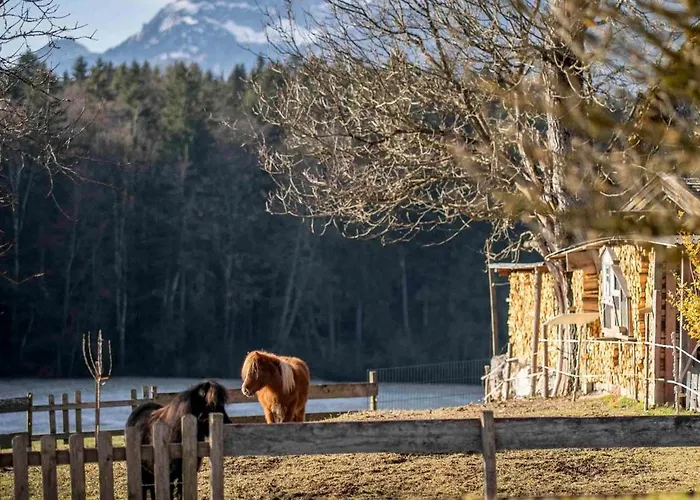 アパート Ferienheim Riedhof