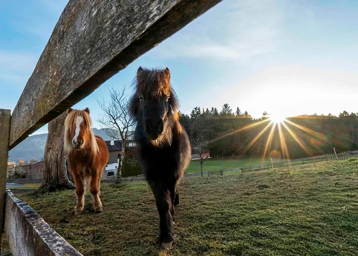 Ferienheim Riedhof アパート Breitenbach am Inn
