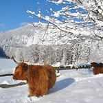 Ferienheim Riedhof *
