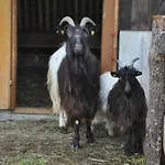 Ferienheim Riedhof Appartamento Breitenbach am Inn