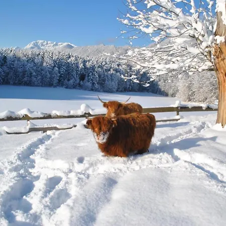Ferienheim Riedhof *