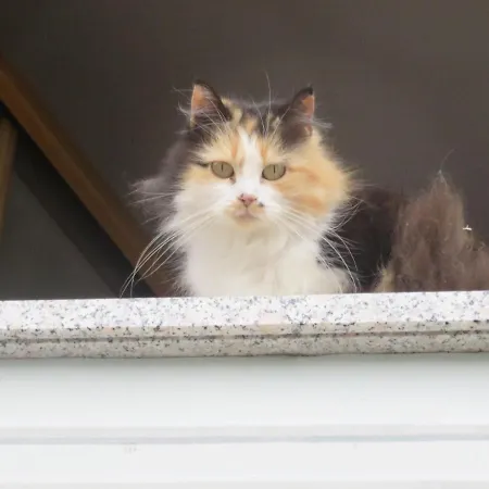 Ferienheim Riedhof * Breitenbach am Inn