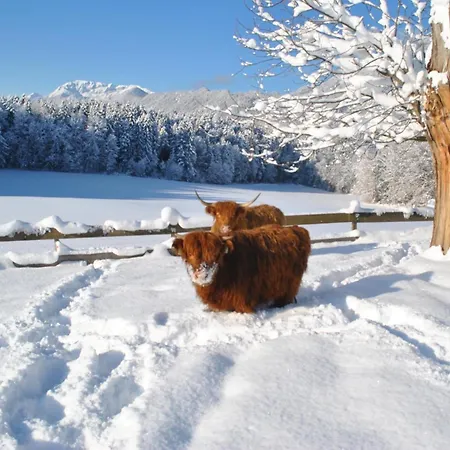 Ferienheim Riedhof * Breitenbach am Inn