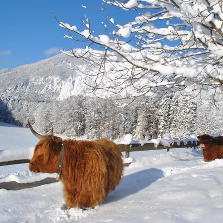 Ferienheim Riedhof Breitenbach am Inn
