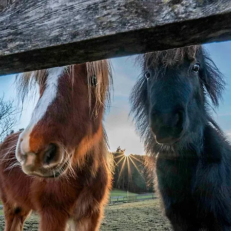 Ferienheim Riedhof Lägenhet