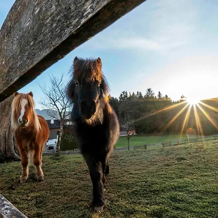Ferienheim Riedhof Lägenhet Breitenbach am Inn